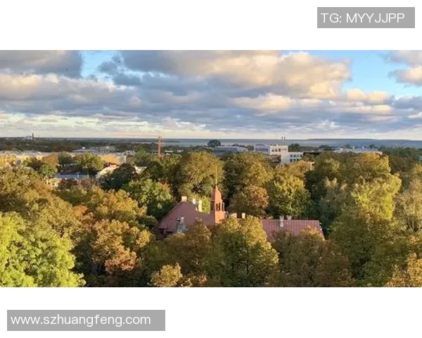 帕尼尼足球星卡数字解析探索揭示稀有卡片背后的市场潜力与收藏价值 帕尼尼足球星卡数字解析探索揭示稀有卡片背后的市场潜力与收藏价值